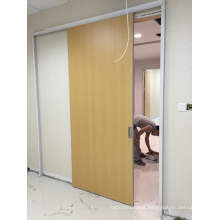 HDF Stable Quality Composite Wood Door, High Gloss Kitchen Door